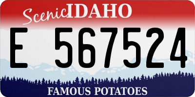 ID license plate E567524