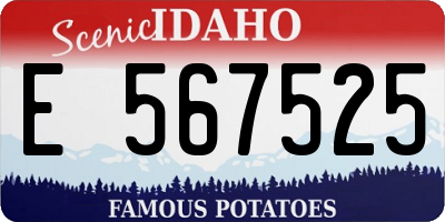 ID license plate E567525
