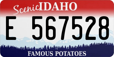 ID license plate E567528