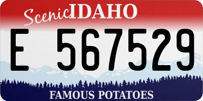 ID license plate E567529