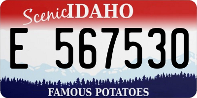 ID license plate E567530