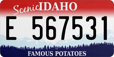 ID license plate E567531