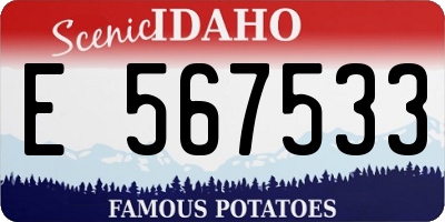 ID license plate E567533