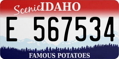 ID license plate E567534