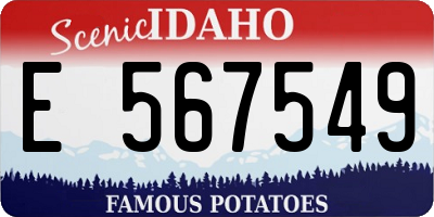 ID license plate E567549