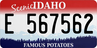 ID license plate E567562
