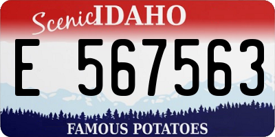 ID license plate E567563