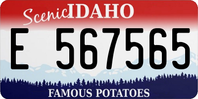ID license plate E567565