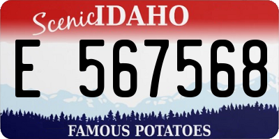 ID license plate E567568