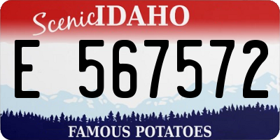 ID license plate E567572