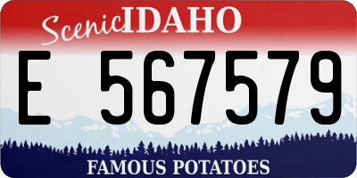 ID license plate E567579