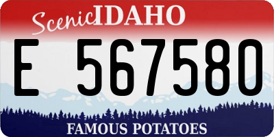 ID license plate E567580