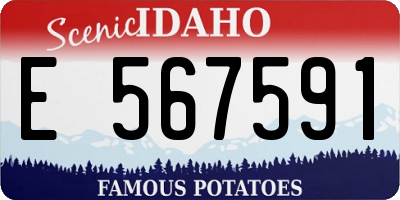 ID license plate E567591