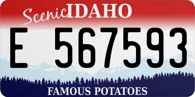 ID license plate E567593