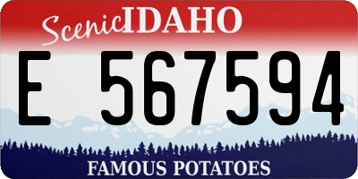 ID license plate E567594