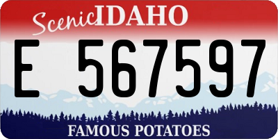 ID license plate E567597