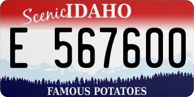 ID license plate E567600