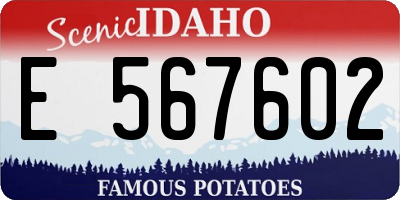 ID license plate E567602
