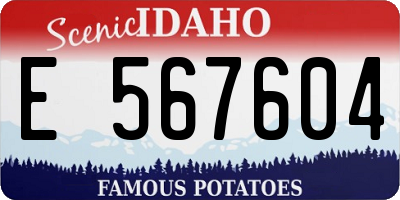ID license plate E567604