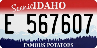 ID license plate E567607