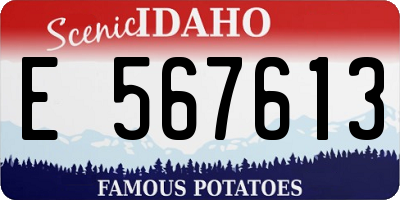 ID license plate E567613
