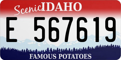 ID license plate E567619