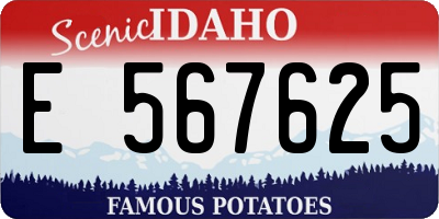 ID license plate E567625