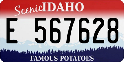 ID license plate E567628