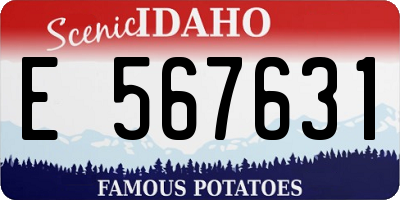 ID license plate E567631