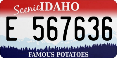 ID license plate E567636