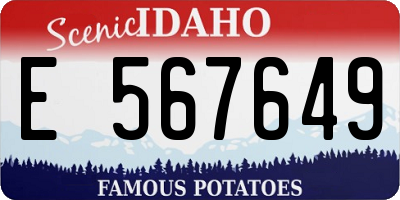 ID license plate E567649