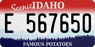 ID license plate E567650