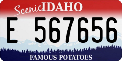 ID license plate E567656