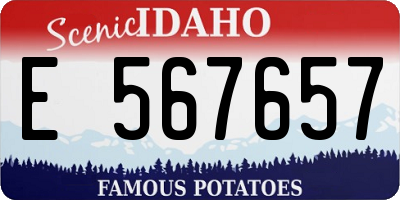 ID license plate E567657