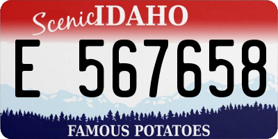 ID license plate E567658