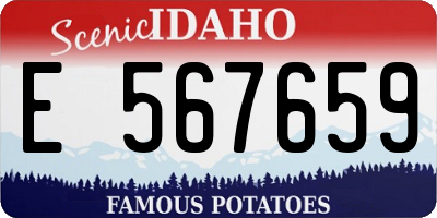 ID license plate E567659