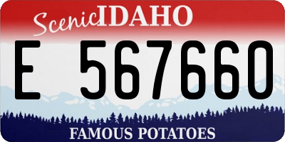 ID license plate E567660
