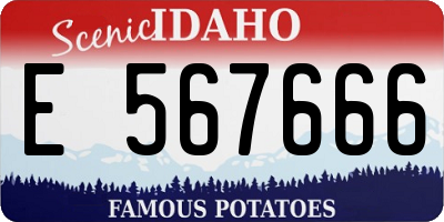 ID license plate E567666