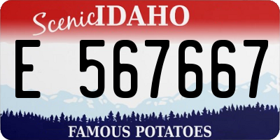 ID license plate E567667