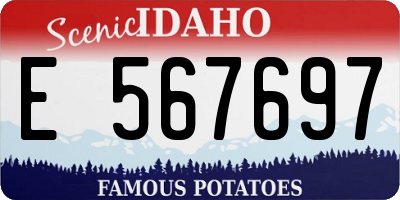 ID license plate E567697