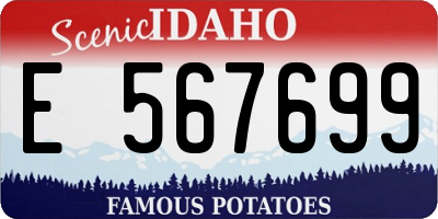 ID license plate E567699