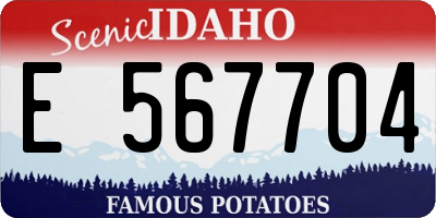 ID license plate E567704