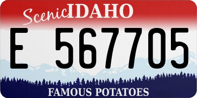 ID license plate E567705