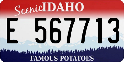 ID license plate E567713