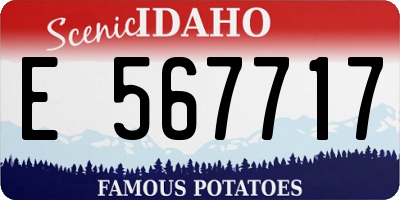 ID license plate E567717