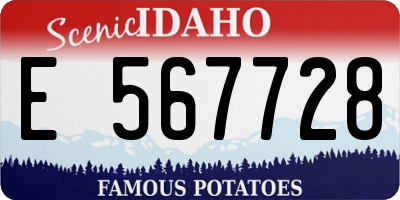 ID license plate E567728