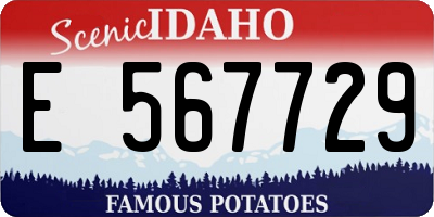 ID license plate E567729