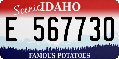 ID license plate E567730