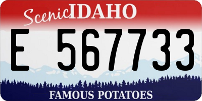 ID license plate E567733