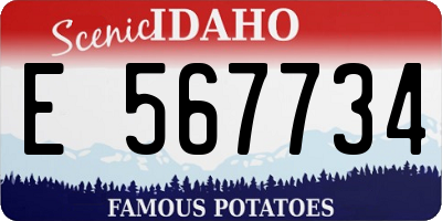 ID license plate E567734